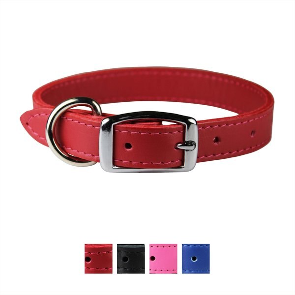 OmniPet Signature Leather Dog Collar - Intensery