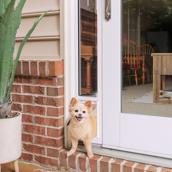 PetSafe Sliding Glass Pet Door， 2-Piece - Intensery