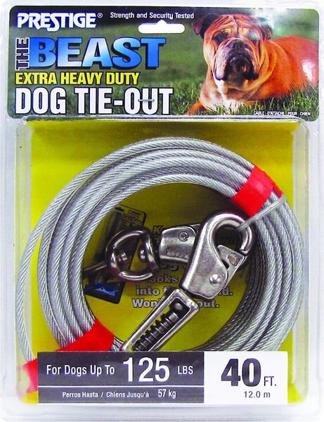Boss Pet Prestige Dog Tie-Out with Spring， Beast， Silver - Intensery