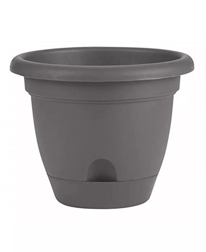Bloem LP06908 Lucca Self-Watering Planter w  easy access spout， Charcoal 6 inches - Intensery