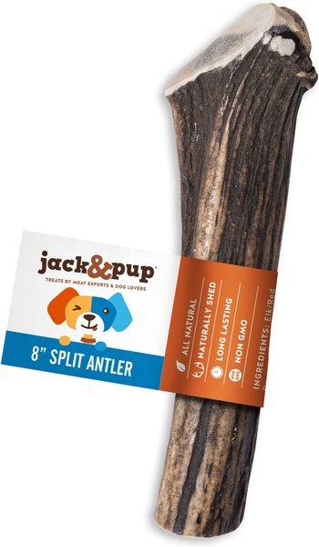 Jack and Pup Large Split Elk Antler Thick Dog Chew Treats， 8-in - Intensery