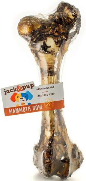 Jack and Pup Mammoth Femur Bone Dog Treat， 1 count - Intensery