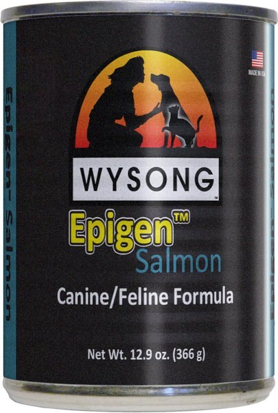Wysong Epigen Salmon Formula Grain-Free Canned Dog Food - Intensery